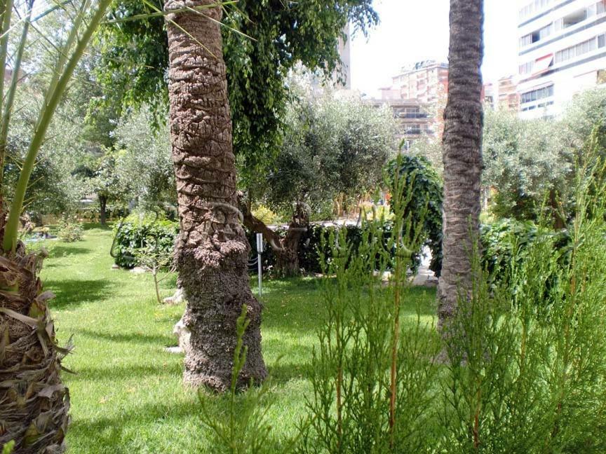 Apartamentos Cervantes Benidorm Exterior foto
